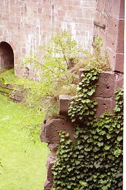 Castle Peep from Staircase